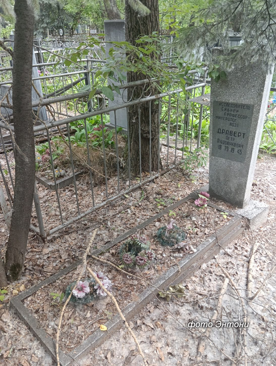 ���� ������.