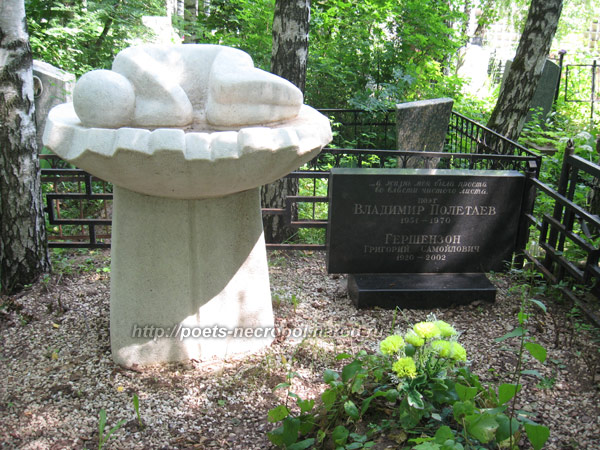 могила Владимира Полетаева, фото Двамала, 2009 г.